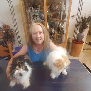 Meet your Posher, Debbie